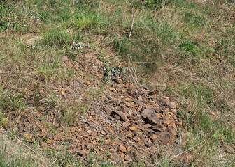 Rocky stony soil