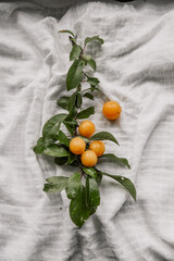 Piękne, pomarańczowe owoce mirabelki. Aż chce się zjeść! - obrazy, fototapety, plakaty