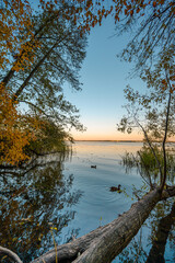 View of the pond through autumn tree branches