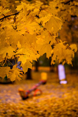 Autumn tree with blurred playground