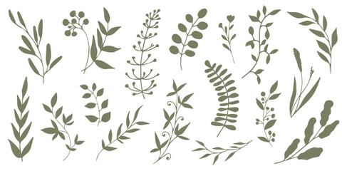 Set of elegant silhouettes of flowers, branches and leaves. Thin hand drawn vector botanical elements
