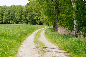 Fototapeta na wymiar a scenic endless road leading through the picturesque Bavarian countryside with lush green meadows on a sunny spring day with the blue sky (Birkach, Bavaria, Germany) 