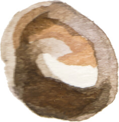 Vector Watercolor painted beans. Hand drawn fresh food design element isolated on white background.