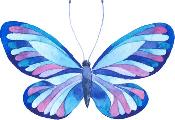 Vector Watercolor painted butterfly. Hand drawn design elements isolated on white background.