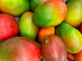 Fresh yellow-red and green mangoes. Close-up of ripe mangoes as background. Closeup of food fruit mango. Texture background. Photo of tropical mango fruit at the market.