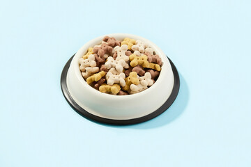 Dry dog food in bowl on blue background