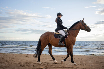 Horsewoman in equestrian sports gear, riding a horse, on the beach, portrait on the background of the sea, horseback riding outdoors - 669286355