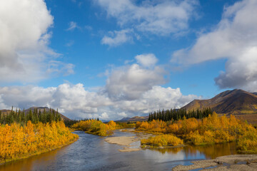 Autumn in polar tundra