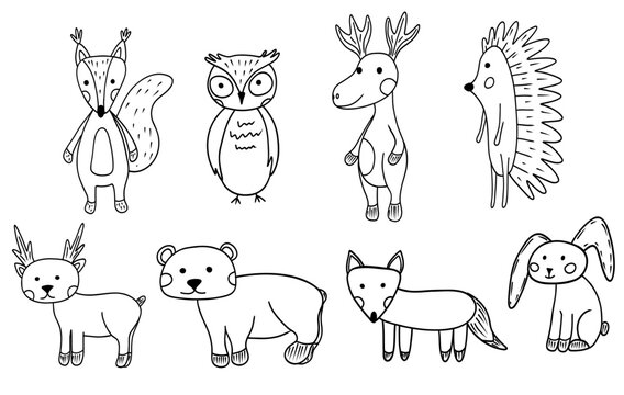 Set with cute forest wild animal in hand drawn doodle style
