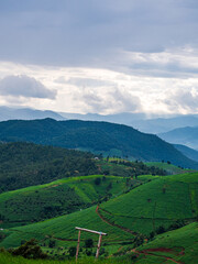 Fototapeta na wymiar landscape view vertical beautiful scenery looking sunlight fog green tree forest Mountain hill natural blue sky cloud horizontal distant countryside thailand asia travel holiday wind relax dawn time