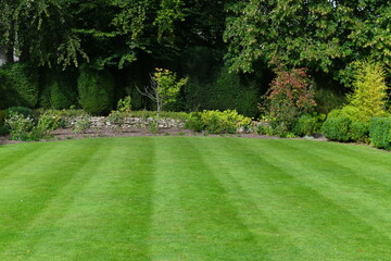 Beautiful garden with a freshly mowed grass lawn - obrazy, fototapety, plakaty