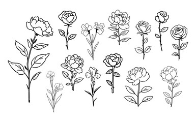 Set of line drawing flowers. Rose, peony, iris. Simple vector isolated on a white background. 