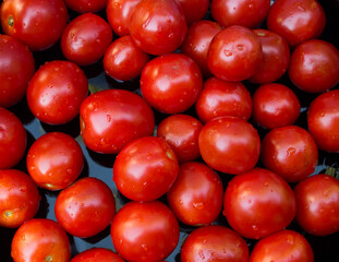 tomatoes background