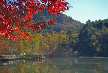 autumn leaves on lake