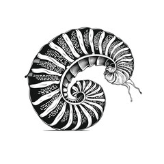 Obraz premium Hand Drawn Sketch Phylum Illustration 