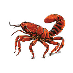 Hand Drawn Flat Color Scorpion Illustration