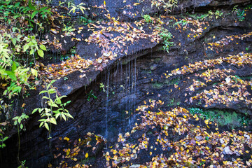 Small waterfall in the Appalachian Mountains