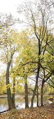 Olentangy River in Autumn, Columbus, Ohio