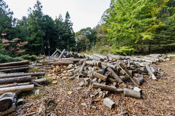 木工作業用の材料を乾燥させる広場