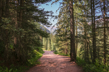 A rocky trail in the mountains