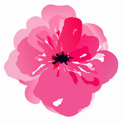 abstract pink background