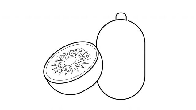 Animation forms a sketch of a kiwi fruit icon