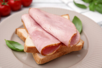 Delicious sandwich with ham on plate, closeup
