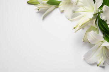 Fototapeta na wymiar Beautiful lily flowers on white background, flat lay. Space for text
