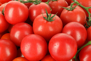 Many fresh ripe cherry tomatoes with water drops as background, closeup