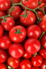 Many fresh ripe cherry tomatoes with water drops as background, top view