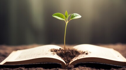 An open book with a plant growing out of it
