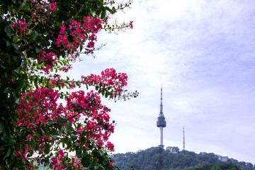 Obraz premium Famous Seoul Namsan beautiful tower, South Korea