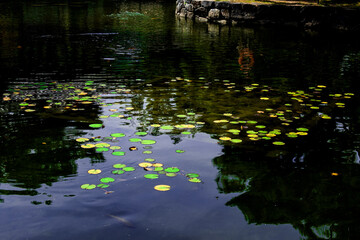 The Korean traditional beautiful garden.