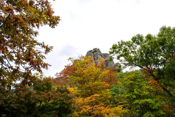 Fototapeta na wymiar The beautiful deep valley, early autumn mountain landscape.