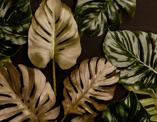 Obraz premium tropical leaf,leaves collection for design with dark color.creative and minimal art nature background.decoration pattern