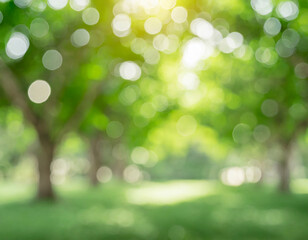 Obraz premium Blurred bokeh of tree garden in morning background,spring season or nature concept ideas
