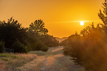 A scene of a grassy trail meander through a hilly area with ashe juniper and oak trees, back illuminated by the setting sun under bright orange sky, Hill Country, Texas