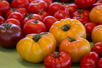 A variety of fresh cultivated round tomatoes. The fruit is yellow, red, blue and plum color and consist of heirloom, beef, and Roma varieties. The tomatoes have a firm flesh with green stalks. 