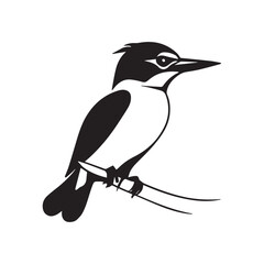 kingfisher black vector