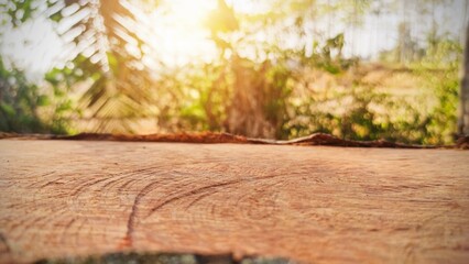 Naklejka na ściany i meble empty coconut wood table with free space natural summer bokeh background for product editing stock photo, optical flare