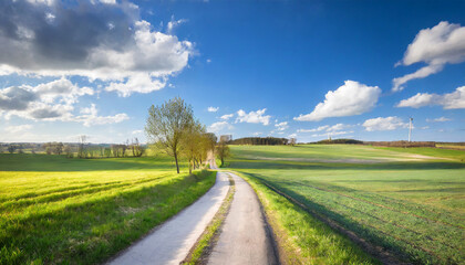 Fototapeta na wymiar Small Road through Fields, Spring Landscape under Blue Sky