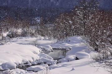 雪国の朝　冬の朝の風景	