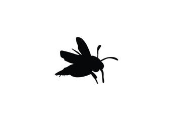 Barbut s Cuckoo Bumblebee minimal style icon illustration