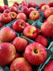 apples in the market
