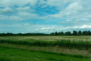 Netherlands, Harderwijk, Dolfinarium, a close up of a lush green field