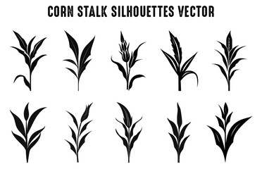 Corn Stalks Silhouette Vector art Set, Barley Grain Cornstalk black Silhouette Clipart Bundle