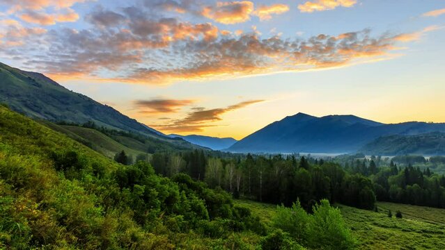 Green forest and mountain range natural landscape at sunrise in Xinjiang, China. 