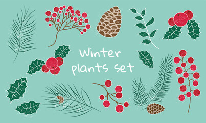 Set with berries and leaves. Winter plants. Merry Christmas. Happy New Year. Pinecone, spruce branch, rowan, snow leaves.