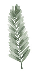 Watercolor Greenery leaf hand drawn illustration