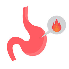 Vector illustration of hot stomach icon sign and symbol. colored icons for website design .Simple design on transparent background (PNG).